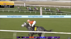Toasted Roll leading the field